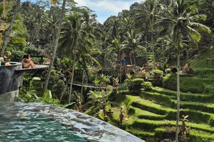 Infinity pool over the Ubud rice terraces